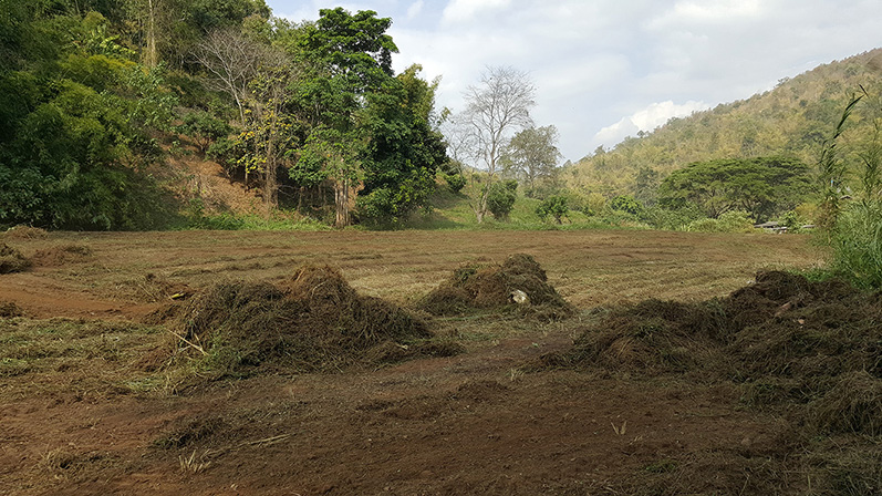Cleared land with surrounding greenery and hills
